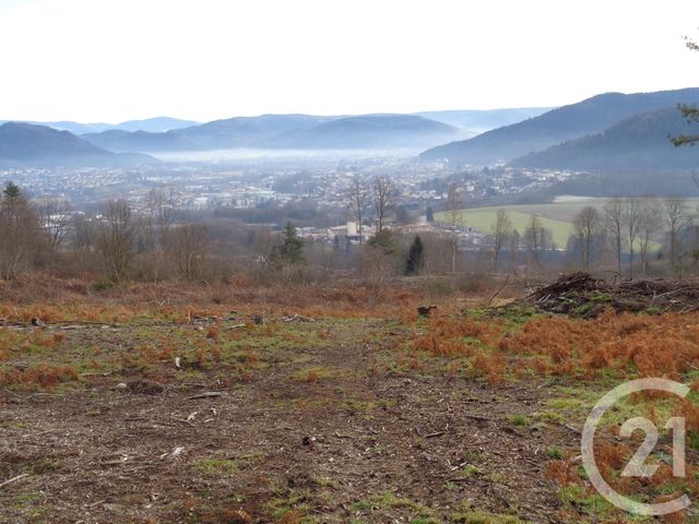 terrain à vendre - 1019.0 m2 - ST NABORD - 88 - LORRAINE - Century 21 Marion Et Colin