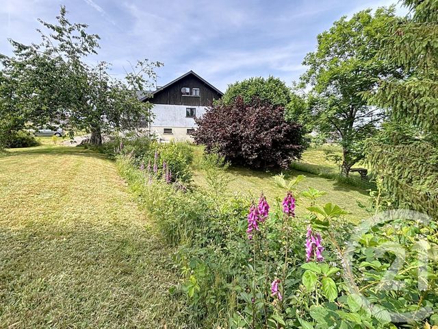 maison - RAON AUX BOIS - 88