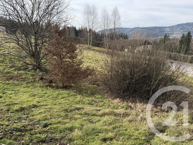 terrain - ST ETIENNE LES REMIREMONT - 88